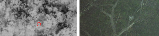 Fig1&2