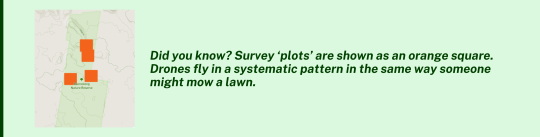 survey plots