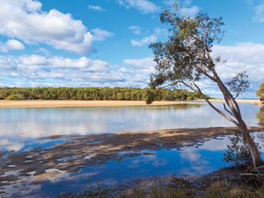 Moonee Creek nature reserve