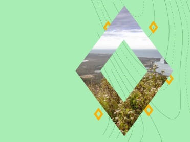 new SEED banner