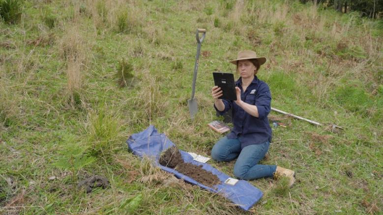 DPE soil scientist collecting and recording soil data in the field