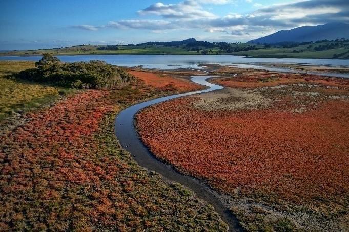 saltmarsh blue carbon